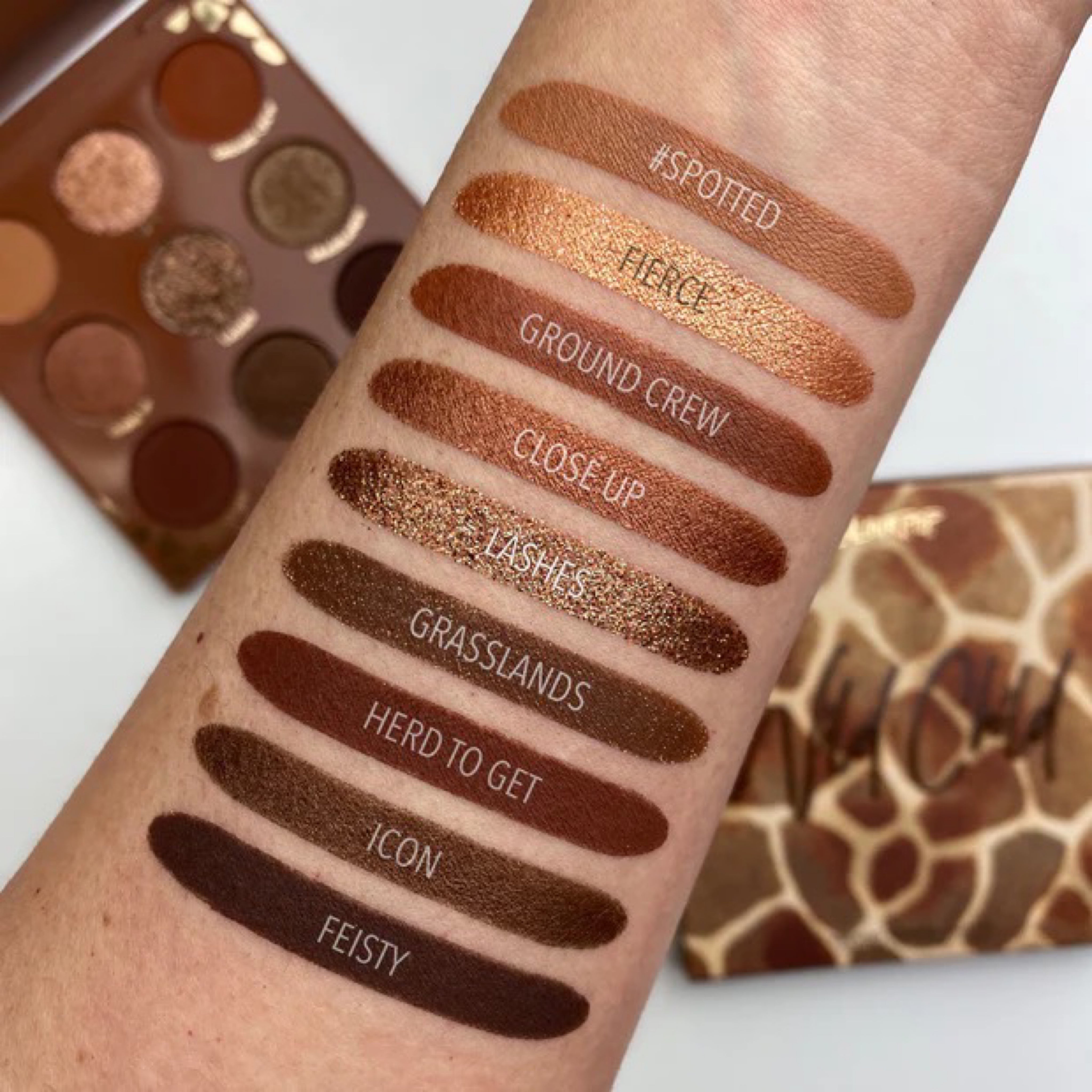 Colourpop Wild Child Eyeshadow Palette